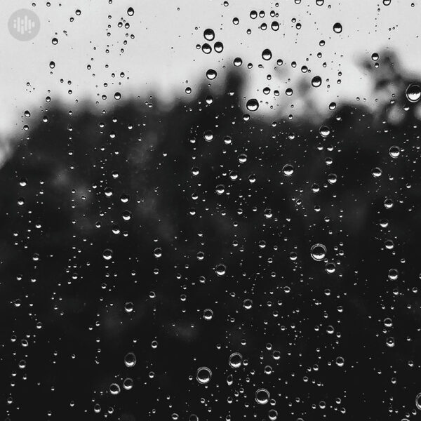 بیت پاپ مارکتی